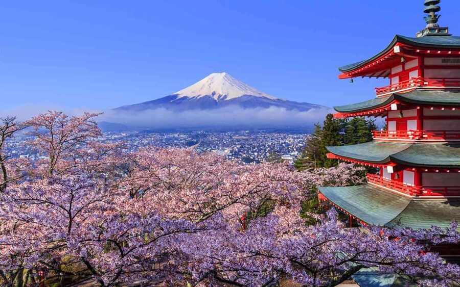 Tokyo: Mt. Fuji & Hakone Cherry Blossoms Private Day Tour - Chureito Pagoda and the cherry blossom walk