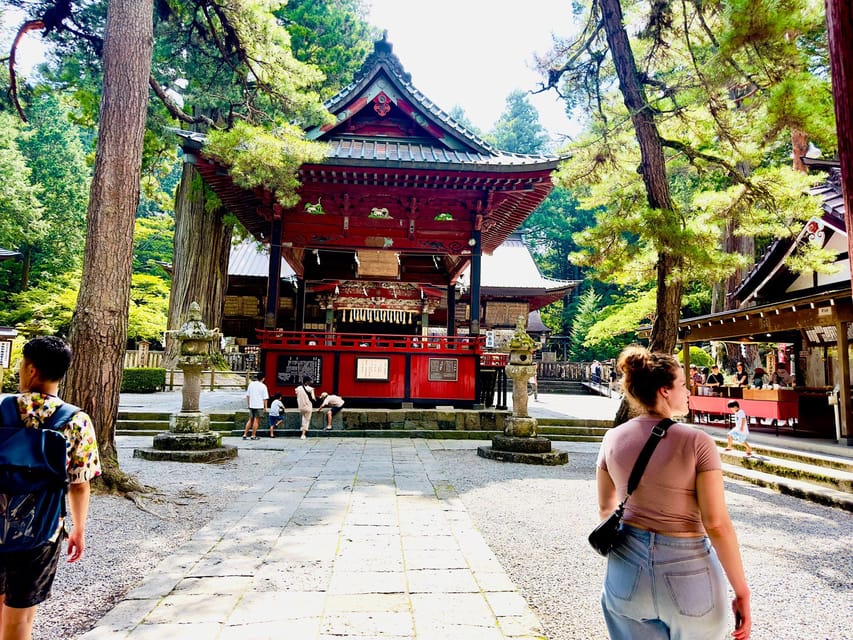 Tokyo: Mt. Fuji & Hakone Cherry Blossoms Private Day Tour - Oishi Park and its lavender garden