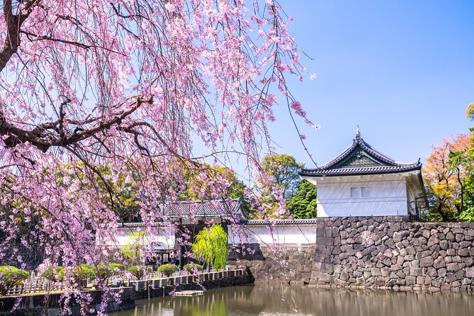Tokyo Private Tour! Edo Castle & Imperial Palace East Gardens - Edo Castle ruins and Tokyo’s changing story
