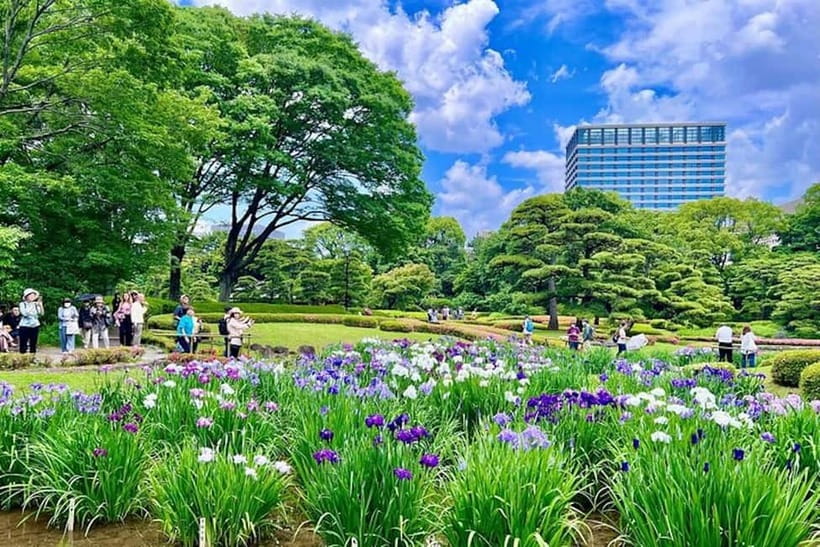 Tokyo: Pvt. Tour - Edo Castle & Imperial Palace East Gardens - Ninomaru Garden and the changing seasons