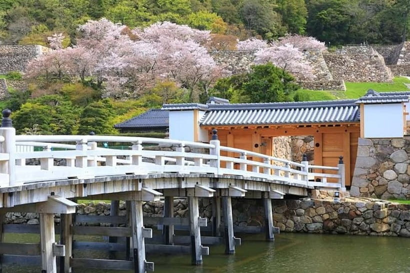 Tokyo: Pvt. Tour - Edo Castle & Imperial Palace East Gardens - What is not included