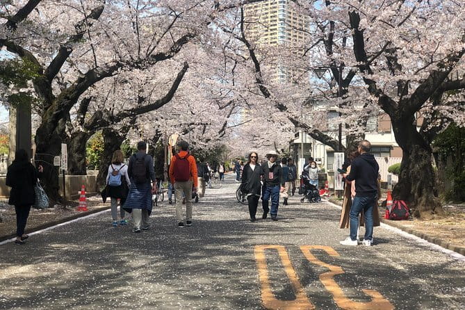 Tokyo Spring Daytime (Cherry Blossom) Food Tour - Why Yanaka Makes a Good Cherry Blossom Base