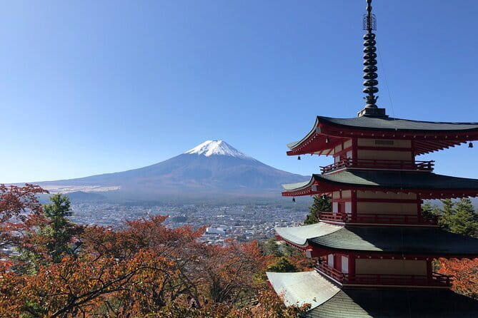 Tokyo Spring Daytime (Cherry Blossom) Food Tour - Is $224 a Fair Price?