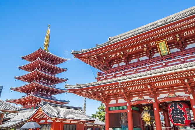Tokyo Spring Daytime (Cherry Blossom) Food Tour - Walking, Weather, and Seasonal Changes