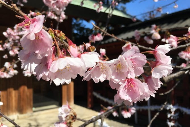 Tokyo Spring Daytime (Cherry Blossom) Food Tour - Yanaka Cemetery and the Art of Hanami