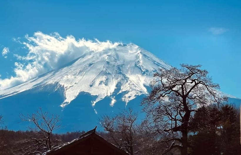 Tokyo Summer: Mt Fuji 5th Station& Kawaguchiko Lavender Trip - Oshino Hakkai and the question of lunch