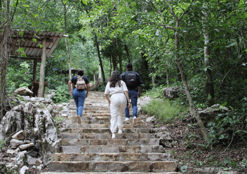 Tour: Edward James Sculpture Garden and Sótano de Huahuas - A long return ride and what the timing means