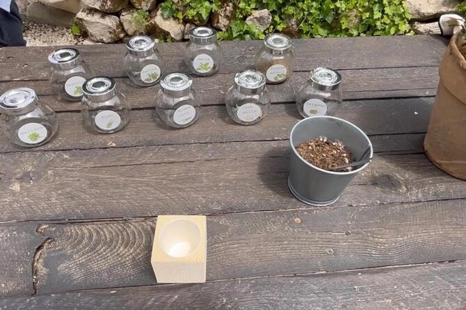 Tour in the heady scents of our garden in Ragusa - Key points to know before booking