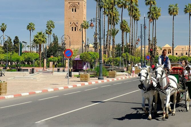 tour of marrakech-medina, souks, secret gardens,Madrassa& stories - Through the Medina and into the souks