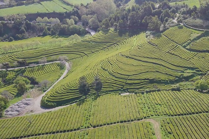 Tour to Furnas and Terra Nostra Garden - full day - Lagoa das Furnas and the island’s volcanic heart