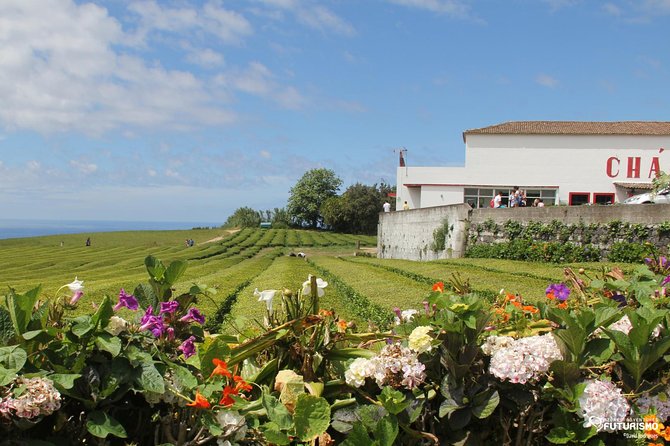 Tour to Furnas and Terra Nostra Garden - full day - Terra Nostra Garden and the 35 to 40°C pool
