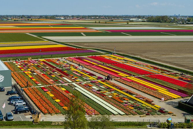 Tour to Giethoorn and Keukenhof Tulip Fields from Amsterdam - Who will enjoy this tour most?