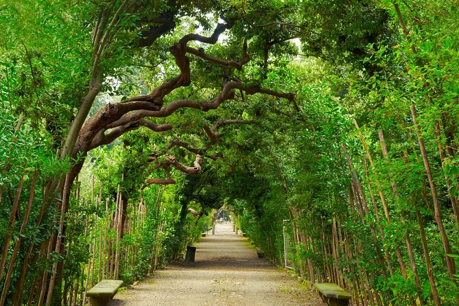 Tower of Pisa and Boboli Gardens Half Day Tour - Why this pairing works in one day