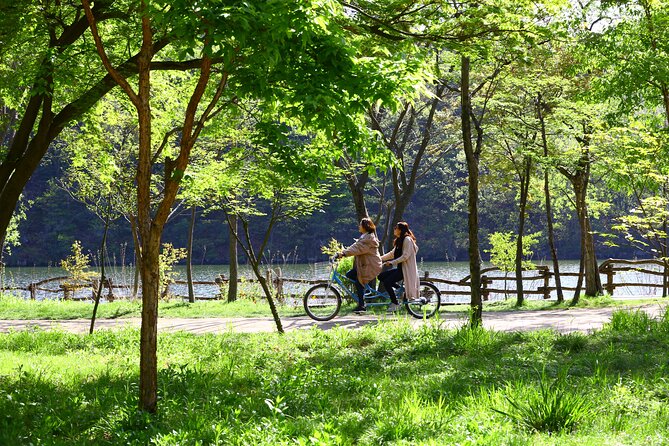 Trip to Nami Island with Petite France & Italian Village, Garden of Morning Calm - The coach, guides, and pace