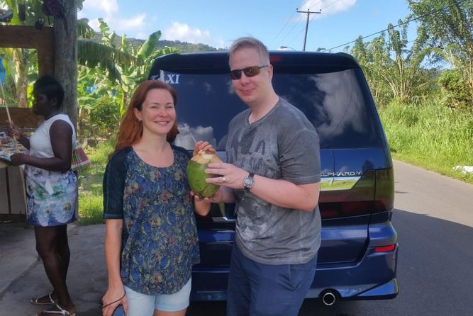 Trip to Soufiere: Volcano, Twin Pitons, Waterfall, Mud Bath & Botanical Garden - Sulphur Springs: the main event