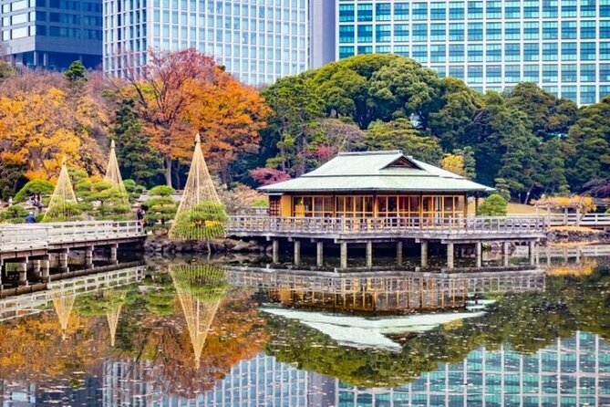 Tsukiji Food Strolling and Hama Rikyu Garden Walking Tour - Optional matcha and wagashi at the tea house