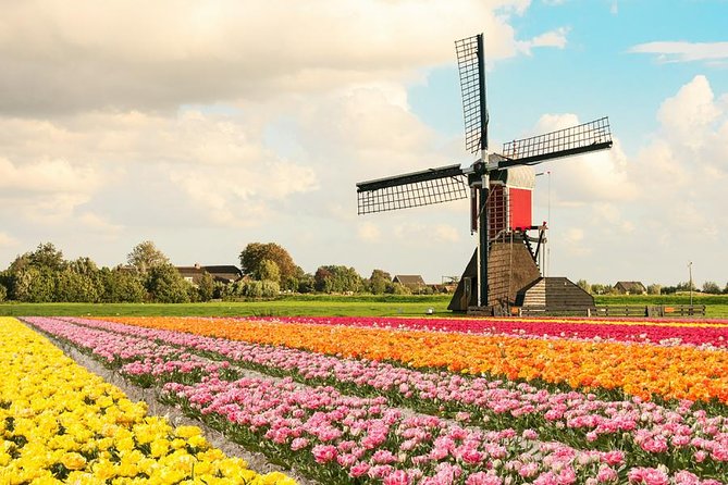 Tulip Experience and Keukenhof Flower Gardens Tour from Amsterdam - What makes Keukenhof different