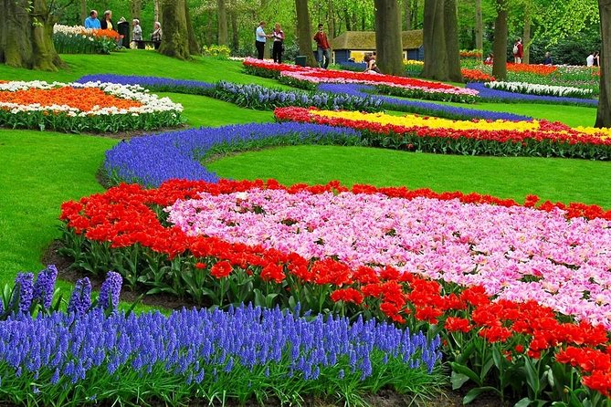 Tulip Experience and Keukenhof Flower Gardens Tour from Amsterdam - Is $382.91 per person a fair price?