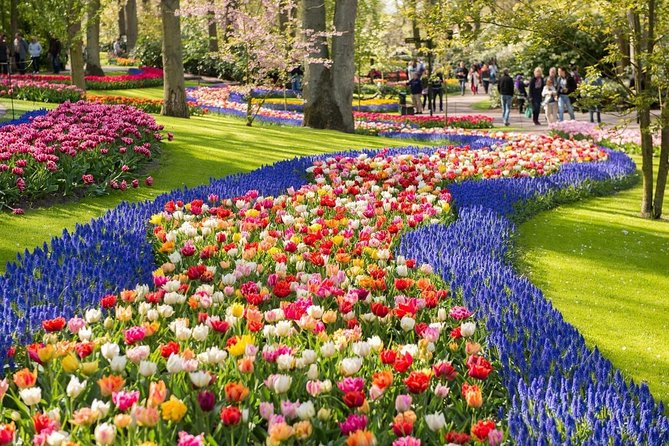 Tulip Experience and Keukenhof Flower Gardens Tour from Amsterdam - A private Mercedes changes the pace