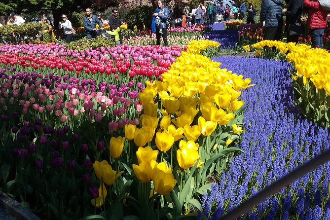 Tulip Festival and Skagit Valley Tour - Five useful things to know before you go