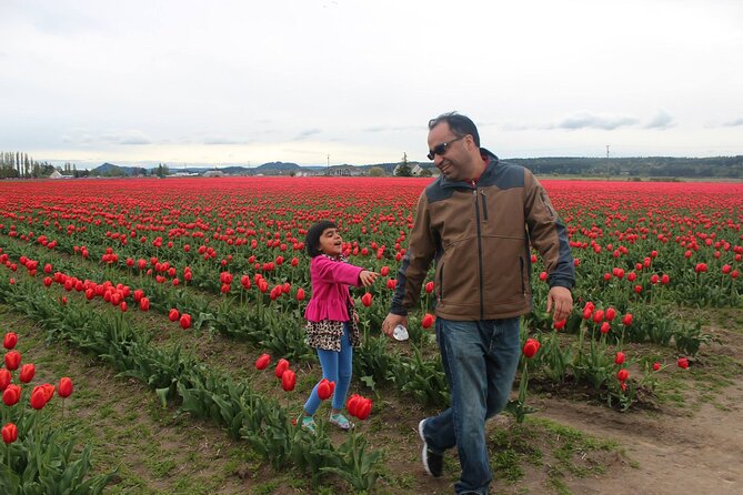Tulip Festival at Skagit Valley ,La Conner and Deception Pass - Why this Skagit Valley day trip works