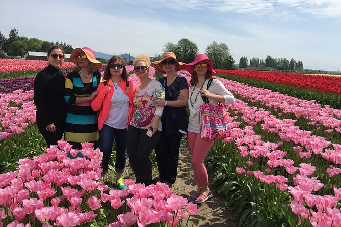 Tulip Festival in Skagit Valley Tour from Seattle - What $145 buys you