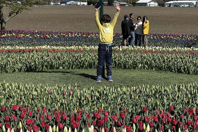 Tulip Festival in Skagit Valley Tour from Seattle - The itinerary details that need clarification