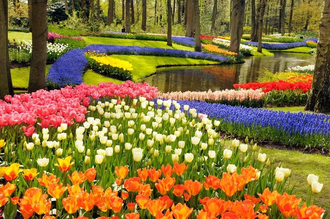 Tulip Fields near Keukenhof - Self-Drive Audio Tour for 2 People - What makes this tulip drive worth considering