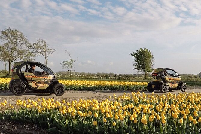 Tulip Fields near Keukenhof - Self-Drive Audio Tour for 2 People - Leaving Lisse and finding the route