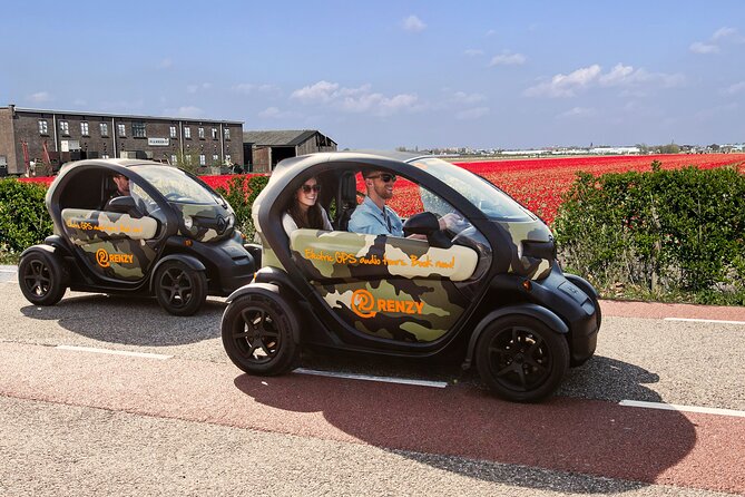 Tulip Fields near Keukenhof - Self-Drive Audio Tour for 2 People - Is the $119.77 price good value?