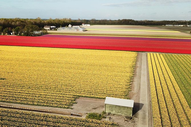 Tulip Fields near Keukenhof - Self-Drive Audio Tour for 2 People - Who will enjoy it most
