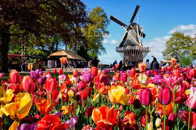 Tulip Paradise: Keukenhof Half-Day Private Tour - The 10:00 AM drive through flower country