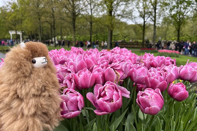 Tulip Paradise: Keukenhof Half-Day Private Tour - The 2:00 PM meeting and 3:00 PM return