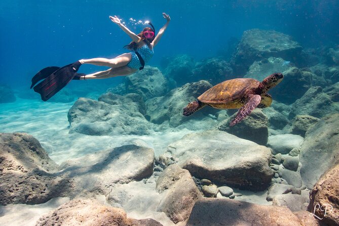 Turtle Gardens West Maui Snorkel Tour - Starting at Olowalu Beach in Lahaina