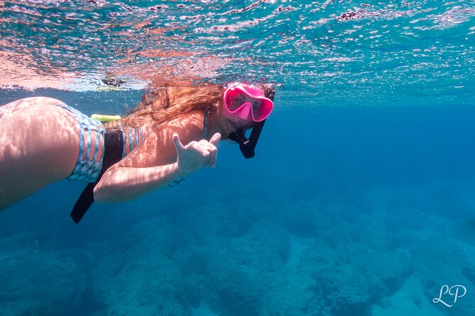 Turtle Gardens West Maui Snorkel Tour - A Hands-Free Kayak Ride Along West Maui