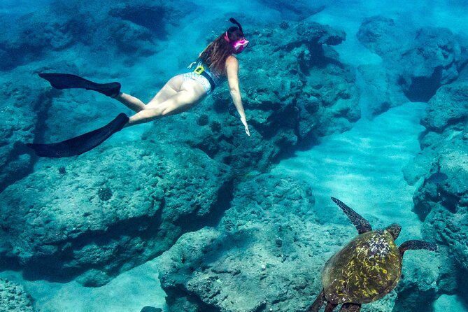 Turtle Gardens West Maui Snorkel Tour - Why the Small Group Changes the Experience