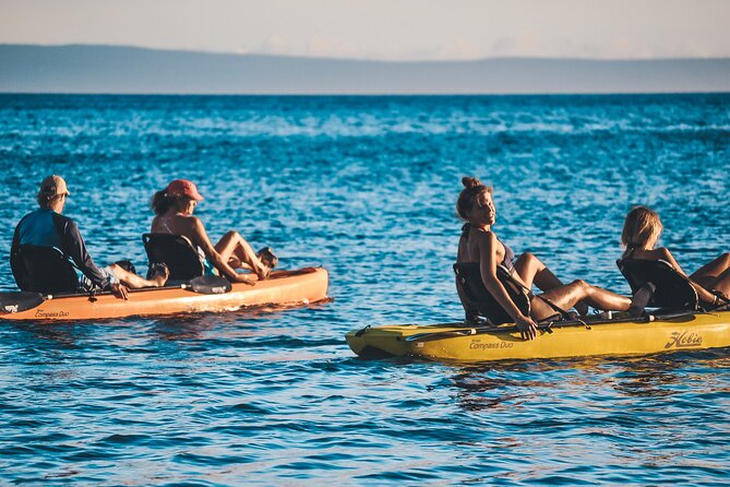 Turtle Gardens West Maui Snorkel Tour - Snacks, Water, and What You Need to Pack