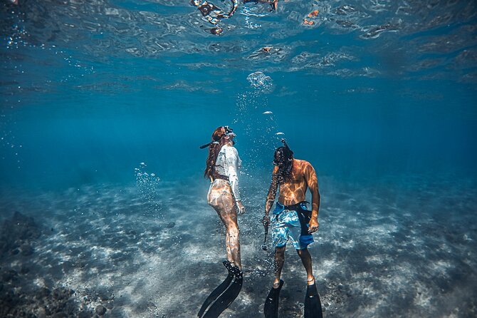 Turtle Gardens West Maui Snorkel Tour - Who Will Enjoy This West Maui Outing Most