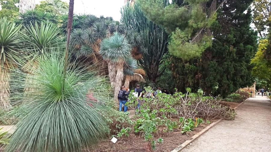 Valencia, Botanical Garden, Guided Tour - Key things to know before you go