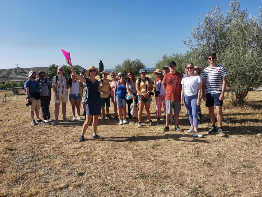 Valensole : Visit of a winery and lavender farm - Key points at a glance