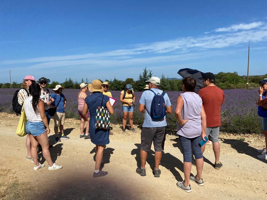 Valensole : Visit of a winery and lavender farm - Arriving at the Stone Farm Near Valensole