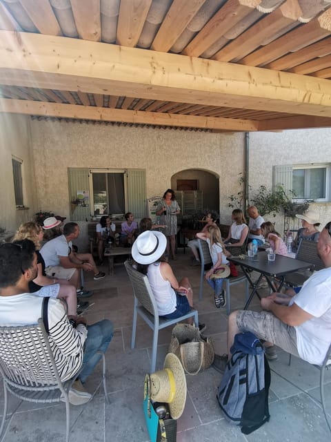 Valensole : Visit of a winery and lavender farm - Fragrant Plants and the Lavender Distillery