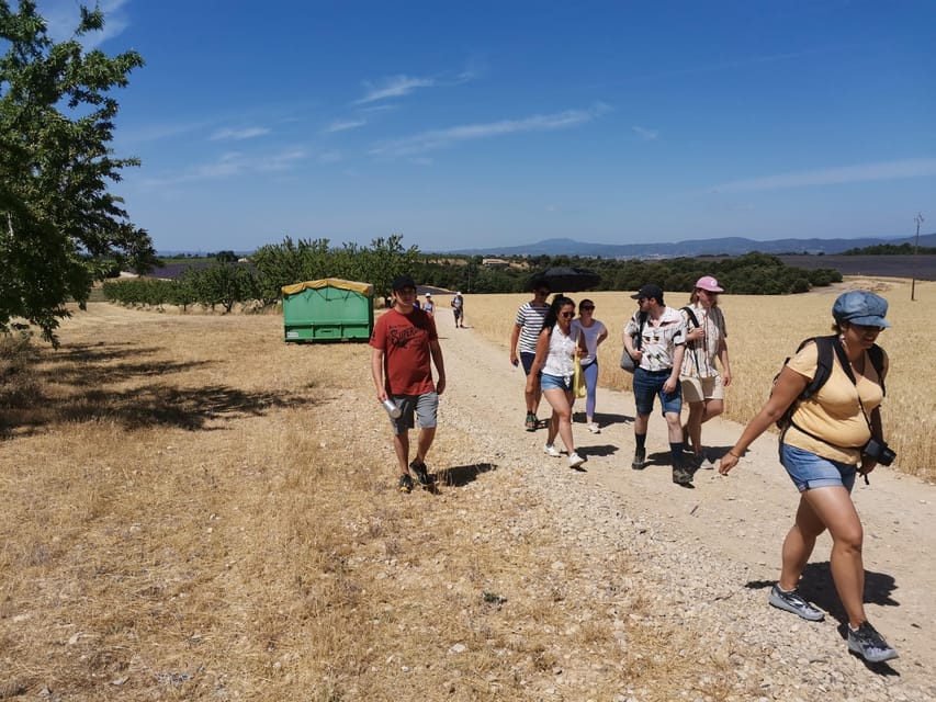 Valensole : Visit of a winery and lavender farm - Weather, Clothing, and Physical Comfort
