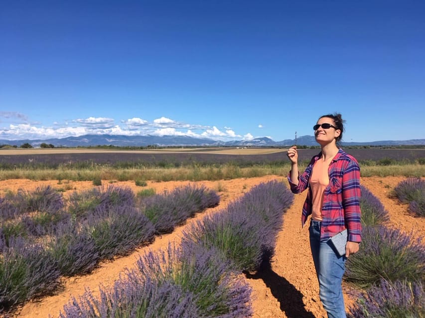 Valensole : Visit of a winery and lavender farm - Should You Book the Valensole Farm Visit?