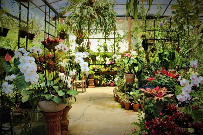 Vallarta Botanical Garden and Tequila Tasting from Puerto Vallarta - What this Puerto Vallarta day trip really includes