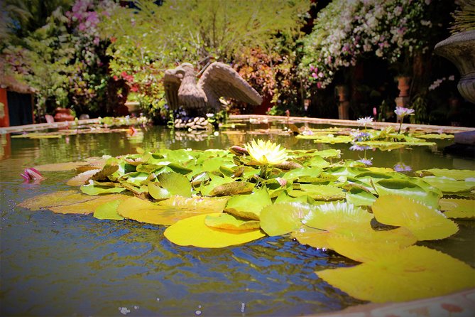 Vallarta Botanical Garden and Tequila Tasting from Puerto Vallarta - Learning how tequila is made at Summer’s Ranch