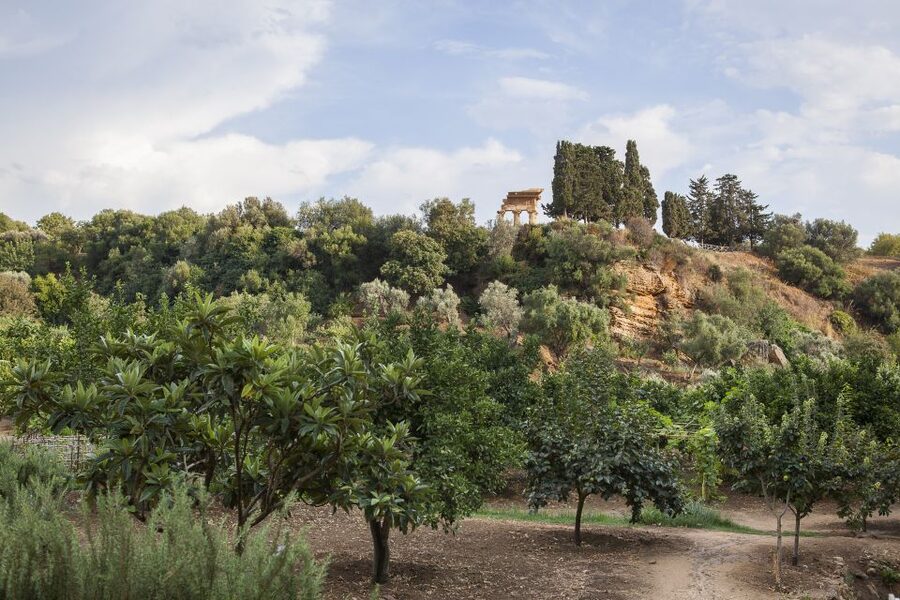 Valley of the Temples: Kolymbethra Garden Entry Ticket - Key points to know before you go