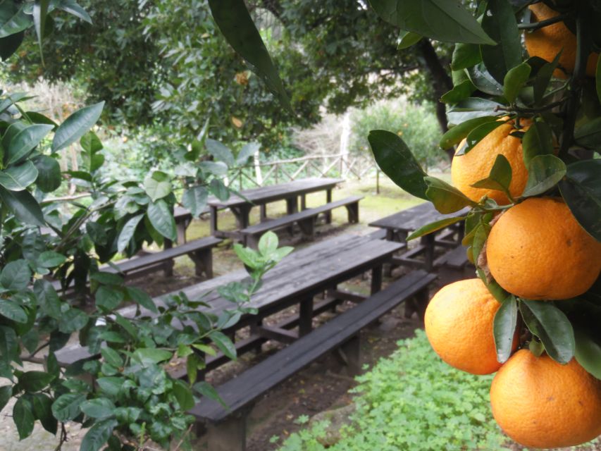 Valley of the Temples: Kolymbethra Garden Entry Ticket - Is the $8 ticket good value?