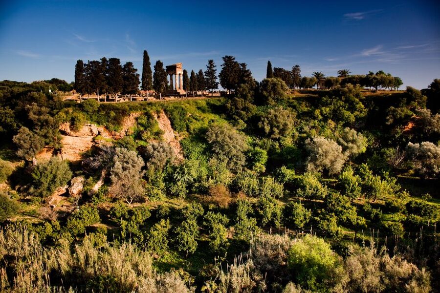 Valley of the Temples: Kolymbethra Garden Entry Ticket - When to visit and what to bring