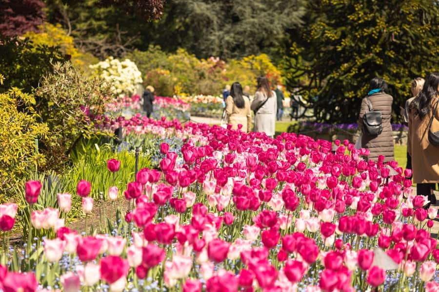 Vancouver to Victoria Seaplane Day Trip + Butchart Gardens - Four hours to explore downtown Victoria